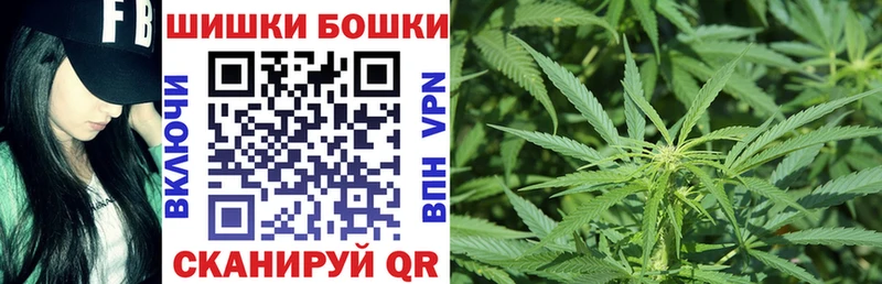 даркнет сайт  Вичуга  Канабис индика 